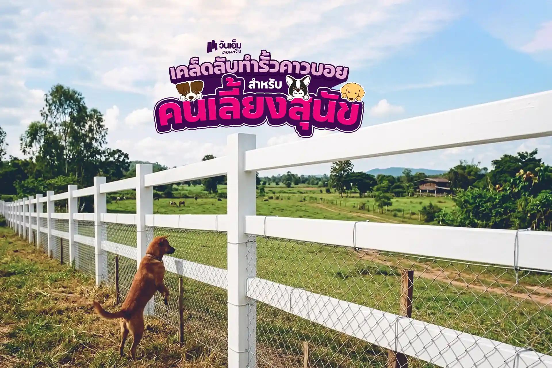 เลี้ยงสุนัขอยู่ ทำรั้วคาวบอยแบบไหนดี? 